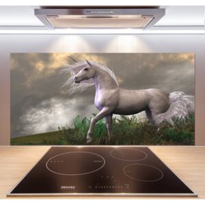 Panel do kuchyne Sivý jednorožec pl-pksh-120x60-f-48202053