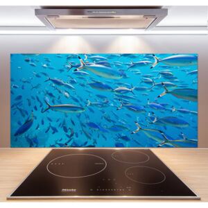 Panel do kuchyne Koralové ryby pl-pksh-120x60-f-39421860