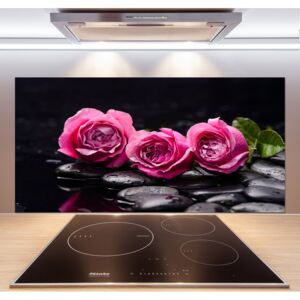 Dekoračný panel sklo Ružové ruže pl-pksh-120x60-f-77048055