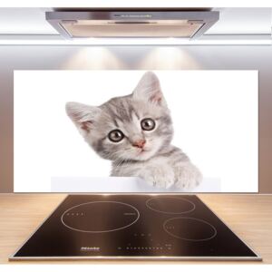 Sklenený panel do kuchynskej linky Sivá mačka pl-pksh-120x60-f-80791907