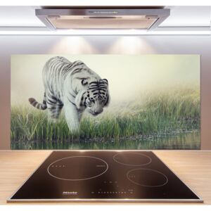 Dekoračný panel sklo Biely tiger pl-pksh-120x60-f-84071201