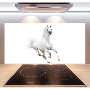 Panel do kuchyne Biely arabský kôň pl-pksh-120x60-f-99028092
