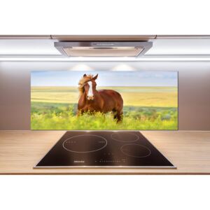 Dekoračný panel sklo Hnedý kôň pl-pksh-125x50-f-111439137