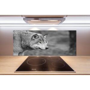Dekoračný panel sklo Sivý vlk pl-pksh-125x50-f-125421387