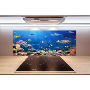 Panel do kuchyne Koralový útes pl-pksh-125x50-f-161347812