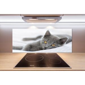 Sklenený panel do kuchynskej linky Sivá mačka pl-pksh-125x50-f-43951156