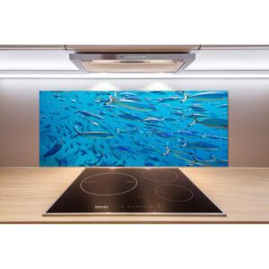 Panel do kuchyne Koralové ryby pl-pksh-125x50-f-39421860