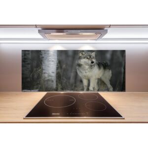 Dekoračný panel sklo Sivý vlk pl-pksh-125x50-f-57875164