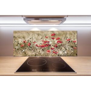 Sklenený panel do kuchyne Maky pl-pksh-125x50-f-66291805
