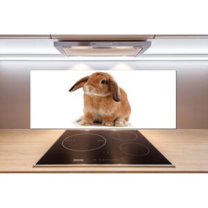 Dekoračný panel sklo Červený králik pl-pksh-125x50-f-65984756
