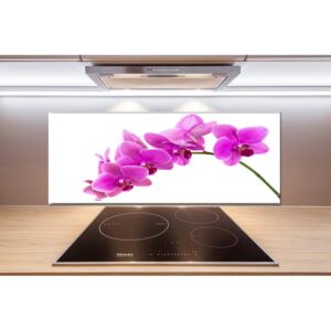 Panel do kuchyne Ružová orchidea pl-pksh-125x50-f-67691978
