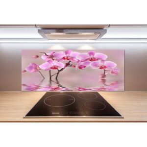 Panel do kuchyne Ružová orchidea pl-pksh-125x50-f-79883275