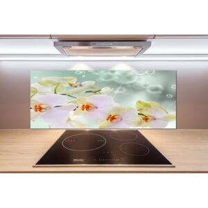 Panel do kuchyne Biela orchidea pl-pksh-125x50-f-91133337