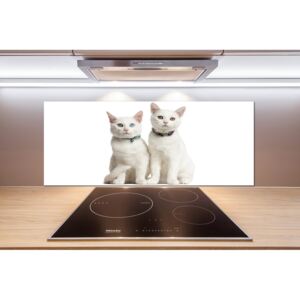 Dekoračný panel sklo Biele mačky pl-pksh-125x50-f-97350767