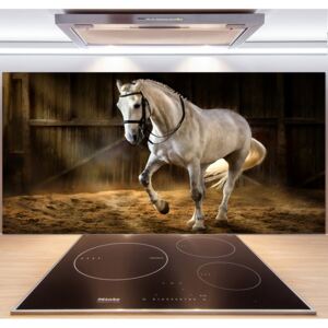 Panel do kuchyne Biely kôň v stajni pl-pksh-140x70-f-113734003