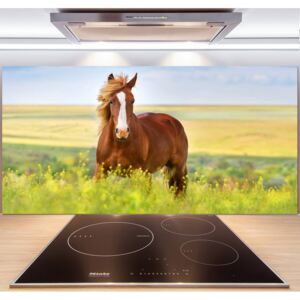Dekoračný panel sklo Hnedý kôň pl-pksh-140x70-f-111439137