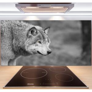 Dekoračný panel sklo Sivý vlk pl-pksh-140x70-f-125421387