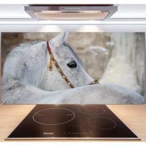 Panel do kuchyne Biely arabský kôň pl-pksh-140x70-f-143185113