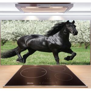 Panel do kuchyne Čierny kôň kvety pl-pksh-140x70-f-51258832