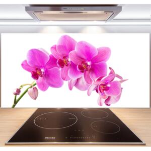 Panel do kuchyne Ružová orchidea pl-pksh-140x70-f-67673367