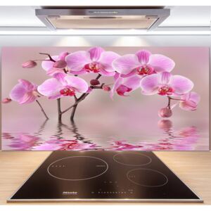 Panel do kuchyne Ružová orchidea pl-pksh-140x70-f-79883275