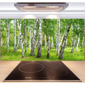 Dekoračný panel sklo Brezovy les pl-pksh-140x70-f-85613602