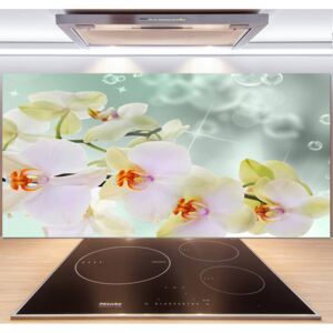 Panel do kuchyne Biela orchidea pl-pksh-140x70-f-91133337