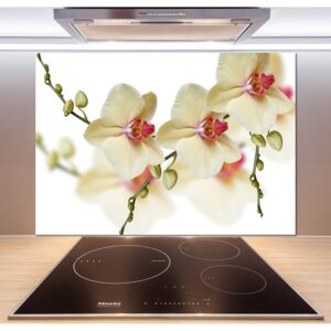Sklenený panel do kuchynskej linky Orchidea pl-pksh-100x70-f-102443917