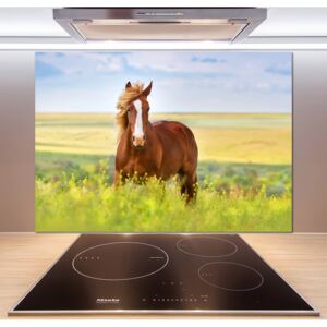 Dekoračný panel sklo Hnedý kôň pl-pksh-100x70-f-111439137