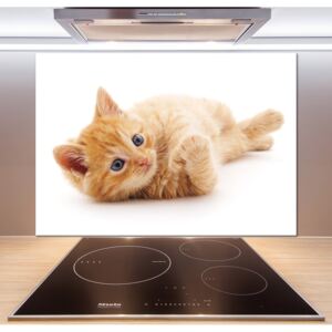 Sklenený panel do kuchynskej linky Červená mačka pl-pksh-100x70-f-126034635