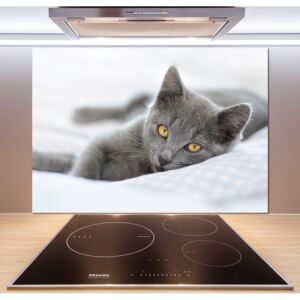 Sklenený panel do kuchynskej linky Sivá mačka pl-pksh-100x70-f-43951156