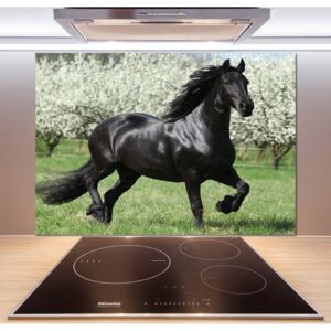 Panel do kuchyne Čierny kôň kvety pl-pksh-100x70-f-51258832