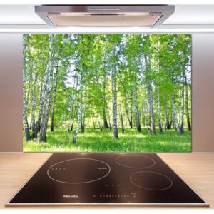 Sklenený panel do kuchyne Brezy pl-pksh-100x70-f-84161268