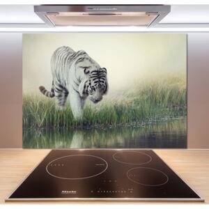 Dekoračný panel sklo Biely tiger pl-pksh-100x70-f-84071201