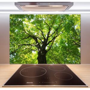 Dekoračný panel sklo Zelený les pl-pksh-100x70-f-86959394
