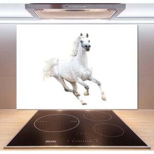 Panel do kuchyne Biely arabský kôň pl-pksh-100x70-f-99028092
