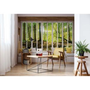 Fototapeta - 3D Window View Forest Vliesová tapeta - 416x254 cm