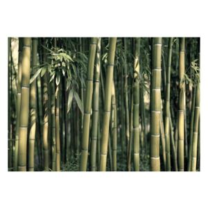 Veľkoformátová tapeta Artgeist Bamboo Exotic, 200 x 140 cm