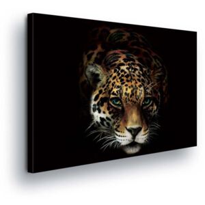 GLIX Obraz na plátne - Cheetah Head 80x80 cm