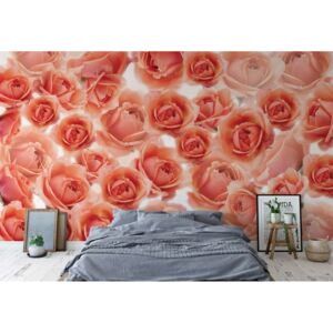 Fototapeta - Pink Roses Flowers Vliesová tapeta - 254x184 cm
