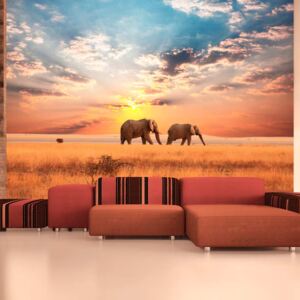 Bimago Fototapeta - African savanna elephants 200x154 cm