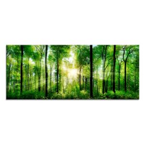 Obraz na skle Styler - Sunlight 125x50 cm