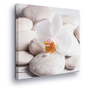Obraz na plátne - White Wellness Stones III 80x80 cm