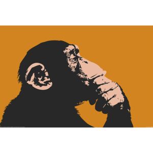Plagát, Obraz - Opice - Thinking, (91,5 x 61 cm)