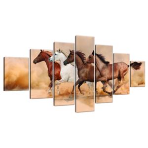 Obraz na plátne Stádo nádherných koní 210x100cm 2062A_7A