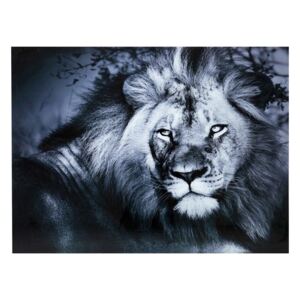 KARE DESIGN Obraz na skle Lion King Lying 120×160 cm