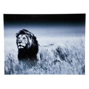 KARE DESIGN Obraz na skle Lion King Standing 120×160 cm