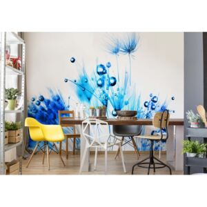 Fototapeta GLIX - Dandelion Blue And White + lepidlo ZADARMO Vliesová tapeta - 368x254 cm