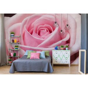 Fototapeta GLIX - The Sensual Rose + lepidlo ZADARMO Vliesová tapeta - 416x290 cm