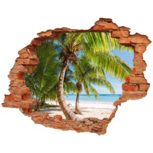 Diera 3D v stene na stenu Tropická pláž